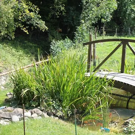 Brustmann Apartamento *